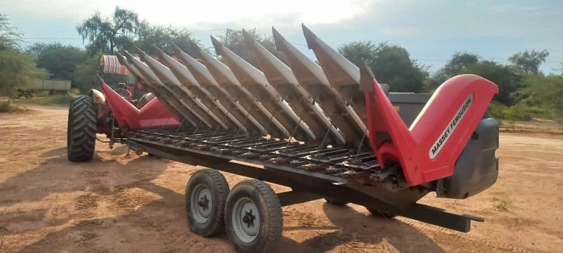 Cabezal Maicero Massey Ferguson