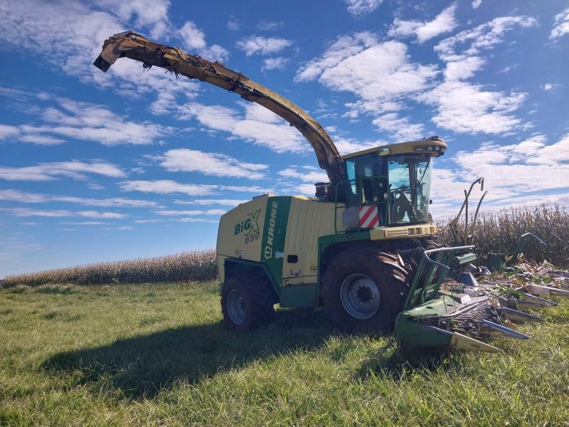 Krone BIG X 650 - Imagen 2
