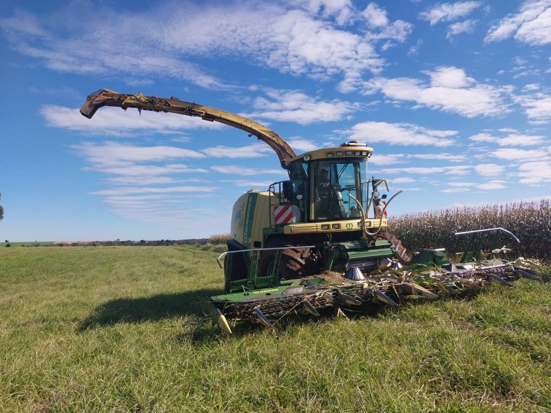 Krone BIG X 650 - Imagen 5