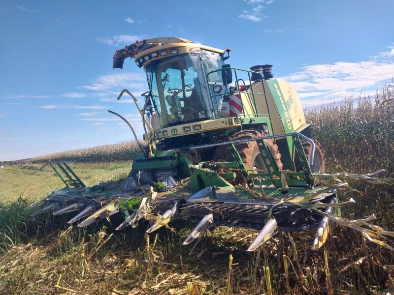 Krone BIG X 650 - Imagen 6