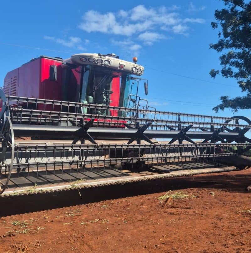 Massey Ferguson 6690 - Imagen 6