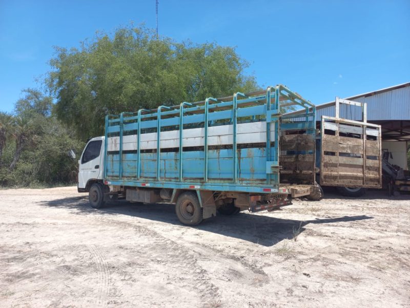 Foton Ollin I 3800 - Imagen 6